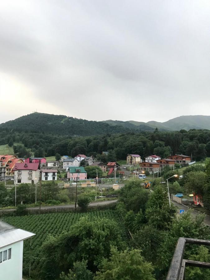 Hotel King David Бакуриани Экстерьер фото